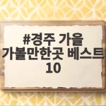 경주 가을 가볼만한곳 베스트 10 단풍과 핑크뮬리 명소 추천 경주 가을 가볼만한곳 베스트 10