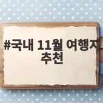 국내 11월 여행지 추천 단풍부터 억새까지 한눈에 보는 늦가을 여행 국내 11월 여행지 추천