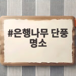 은행나무 단풍 명소 절정 시기와 숨은 가을 여행지 추천 은행나무 단풍 명소