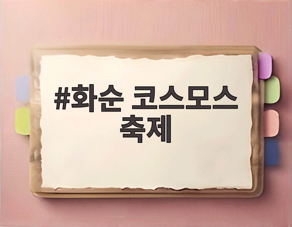 화순 코스모스 축제