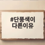 단풍색이 다른이유