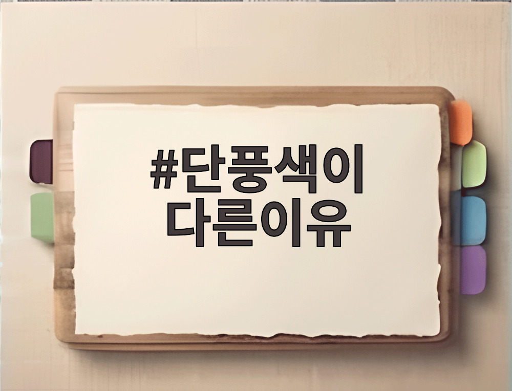 단풍색이 다른이유