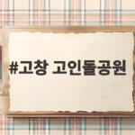 고창 고인돌공원 447기 고인돌이 한눈에 들어오는 이유 고창 고인돌공원