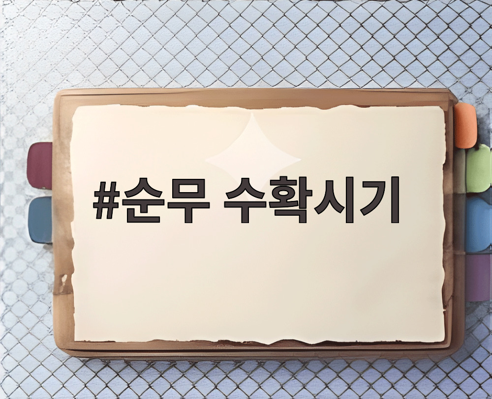 순무 수확시기