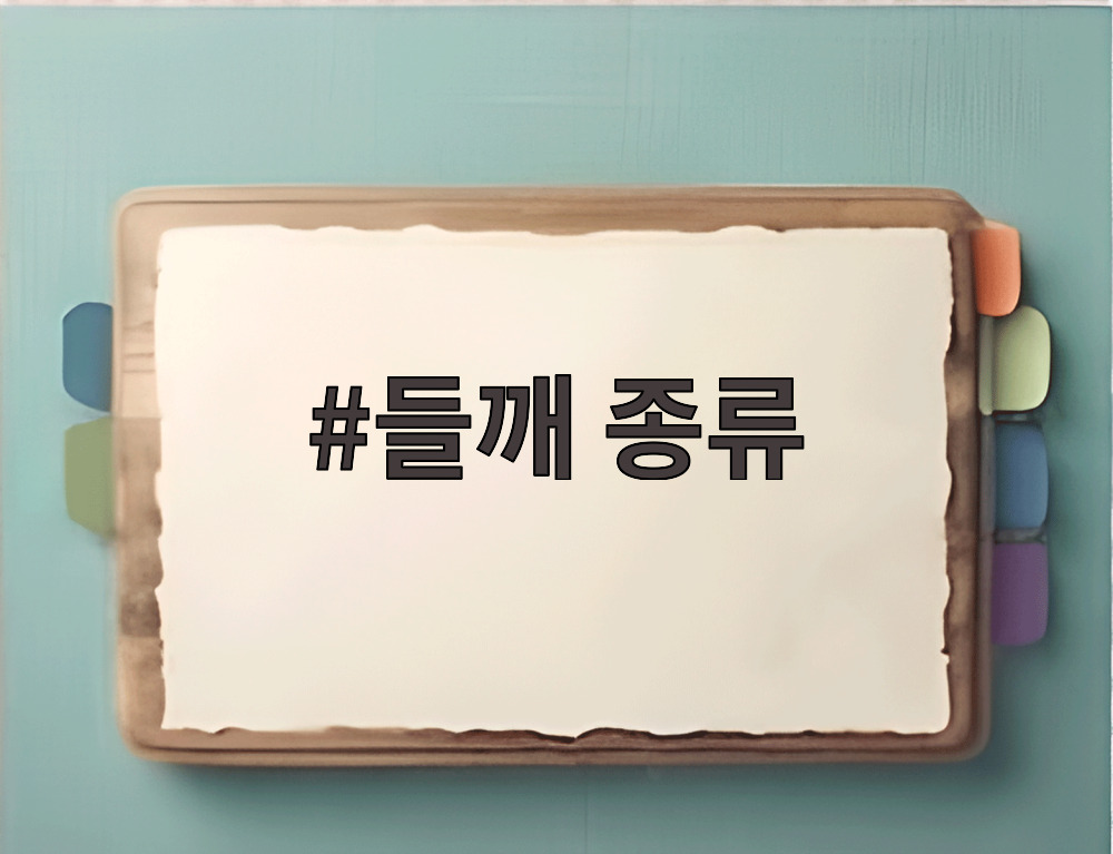 들깨 종류