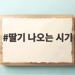 딸기 나오는 시기 언제가 제철인지 지금 바로 확인하세요 딸기 나오는 시기