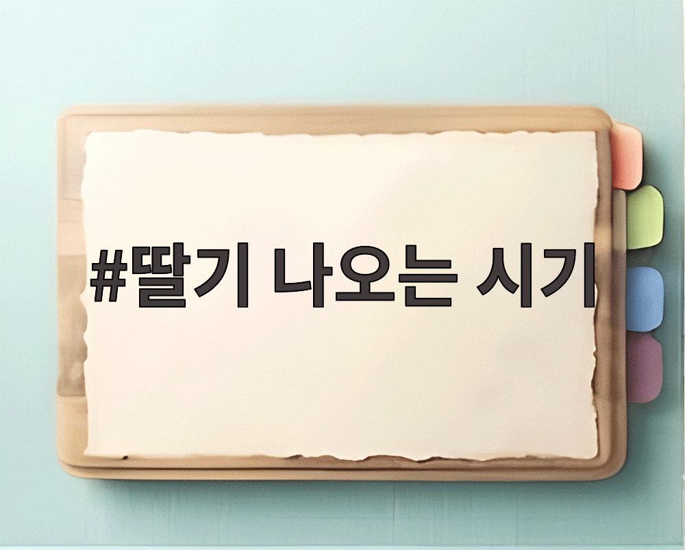 딸기 나오는 시기