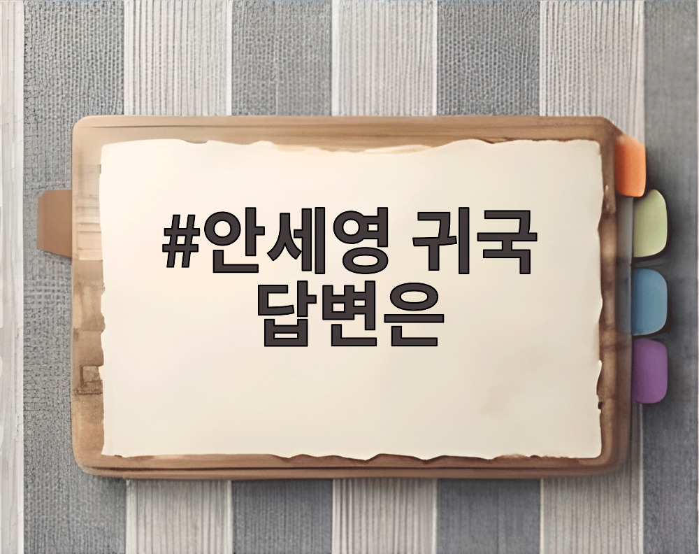 안세영 귀국 답변은