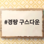 경량 구스다운