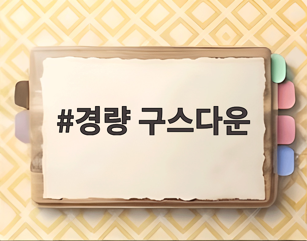 경량 구스다운