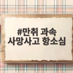 만취 과속 사망사고 항소심