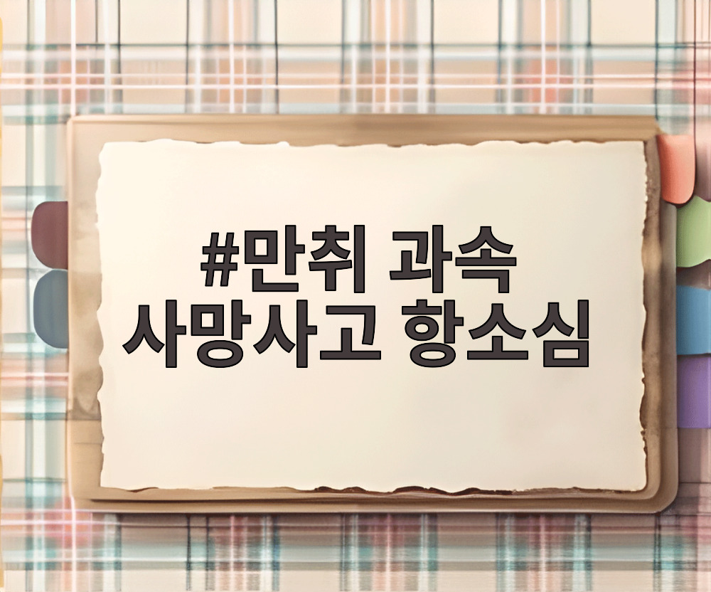 만취 과속 사망사고 항소심