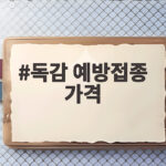 독감 예방접종 가격 4만원 아닌 2만5천원에 맞는 방법 독감 예방접종 가격