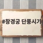 창경궁 단풍시기