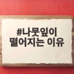 나뭇잎이 떨어지는 이유