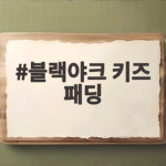 블랙야크 키즈 패딩