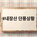 2026 내장산 단풍 절정 시기와 꼭 알아야 할 교통 정보 내장산 단풍상황