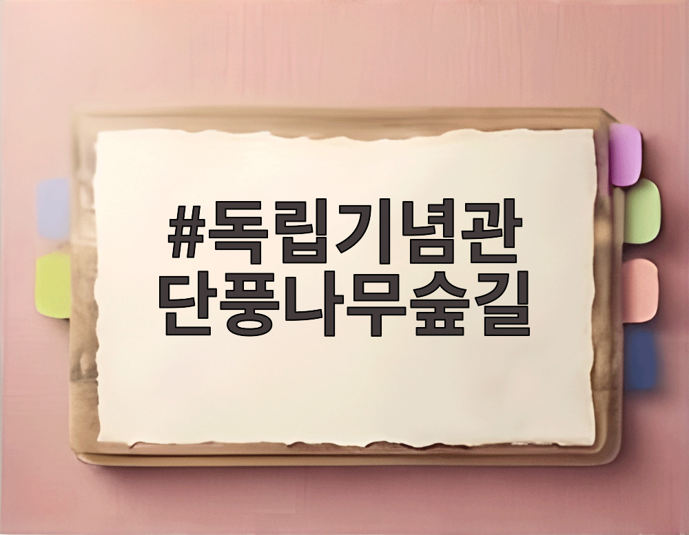 독립기념관 단풍나무숲길